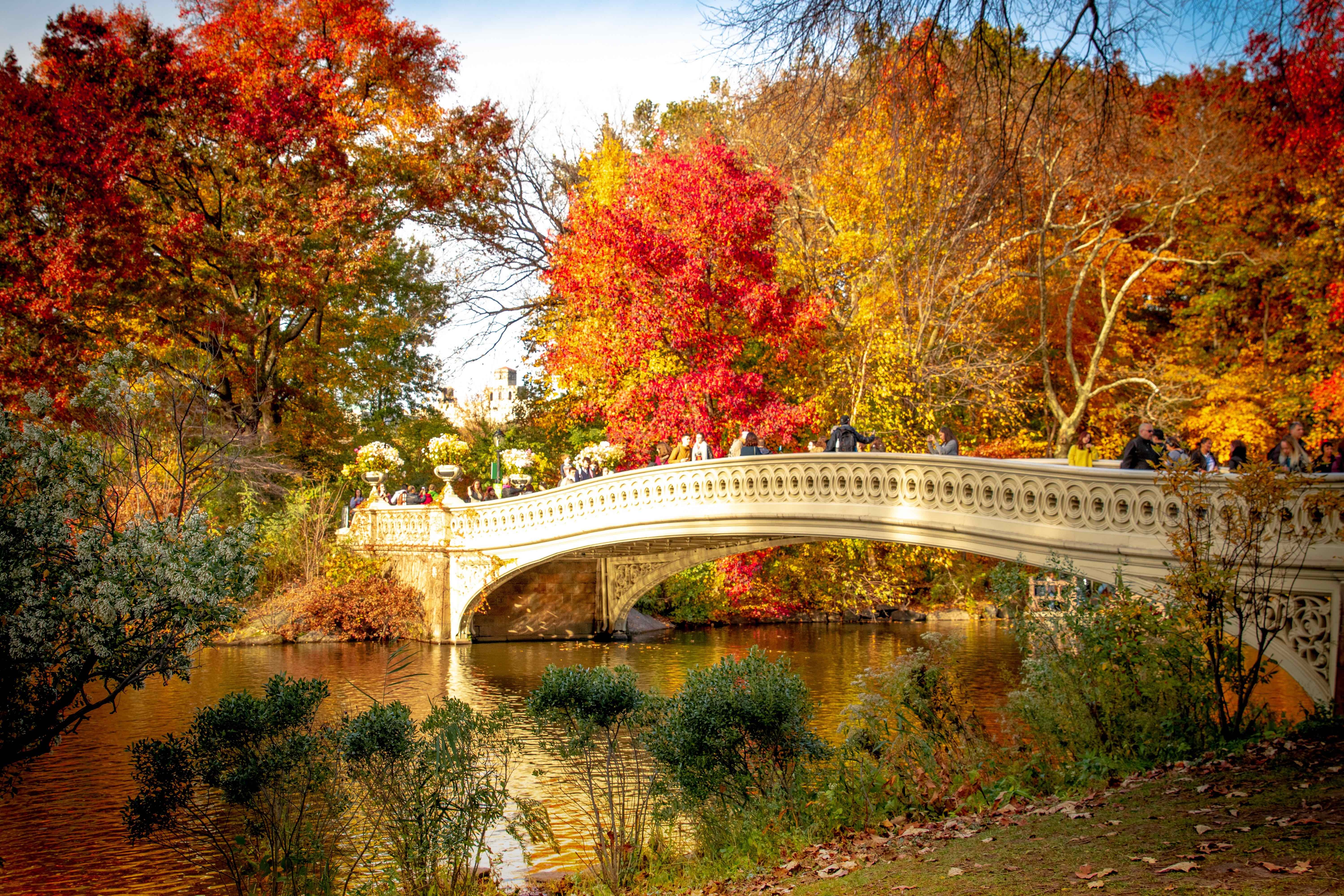 Красивые осенние картинки. Центральный парк Нью-Йорк мостик. Озеро осень мост Версаль. Осенний парк. Красивая осень.